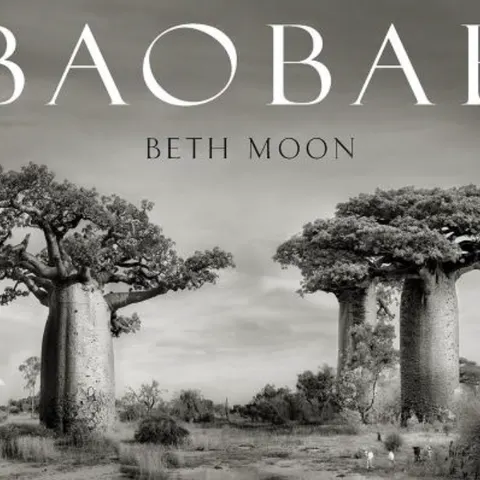 Cover of the photography book BAOBAB by Beth Moon
