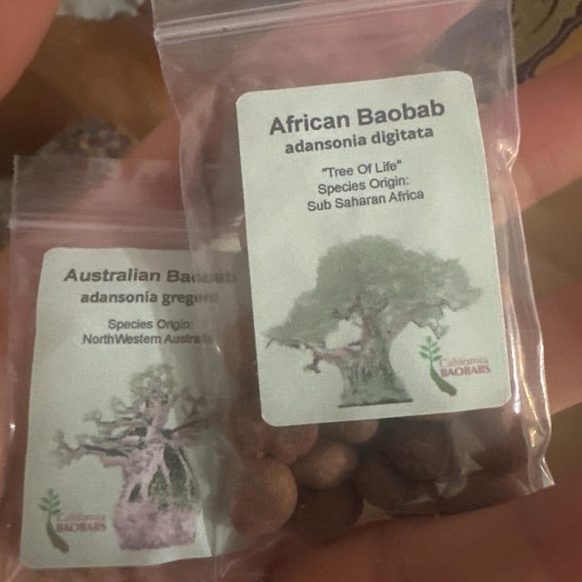 Photo from a buyer's review