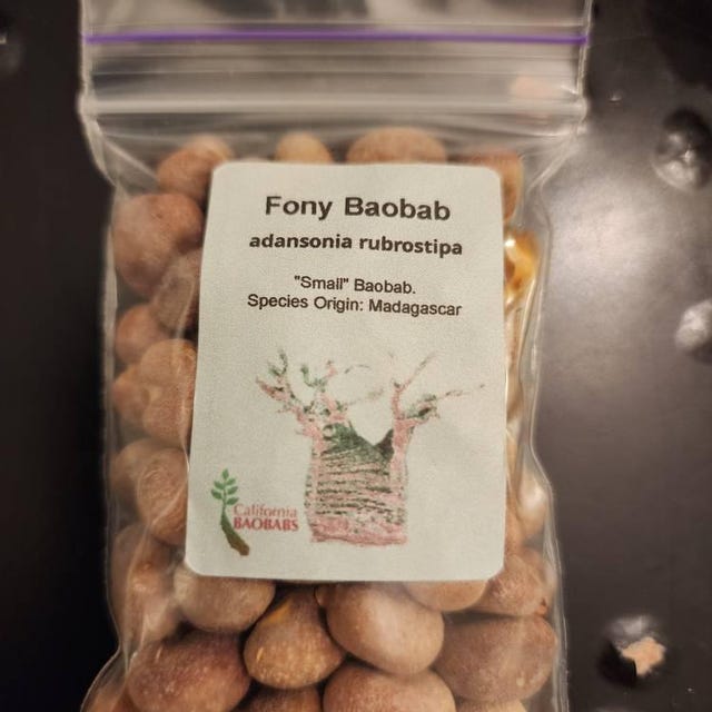 Photo from Franksflytraps's review