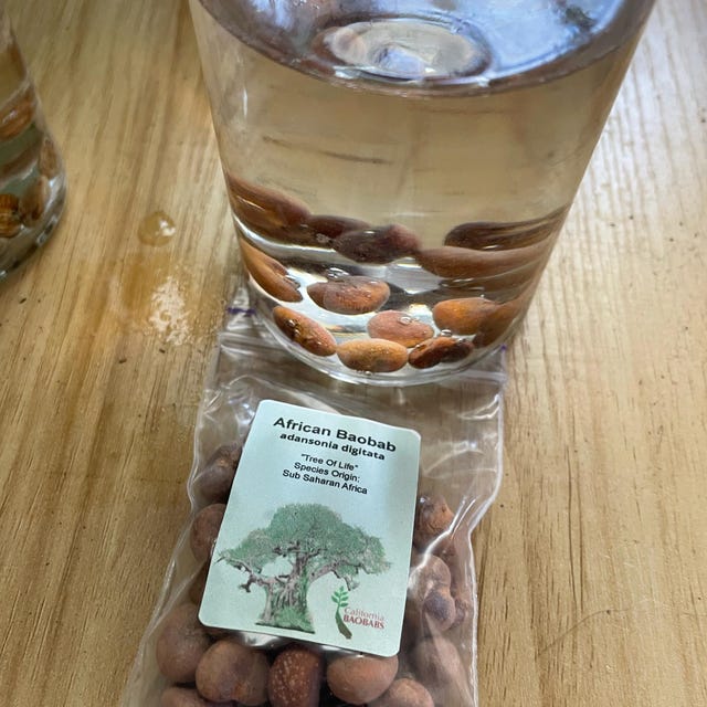 Photo from a buyer's review